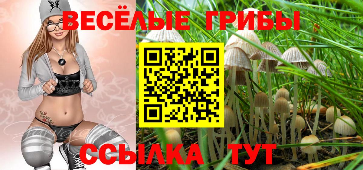 Заринск  Псилоцибиновые грибы ЛСД  Вход с VPN 